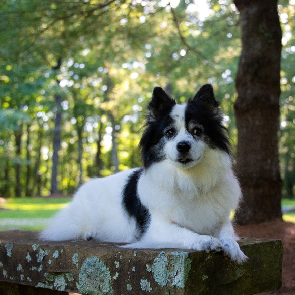 Meet your Posher, Brooke - Picture 1 of 1